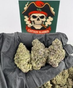 Ayahuasca purple