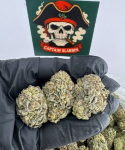La La Land Flower Buds