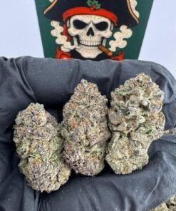 Lavender Jones