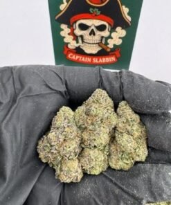 London pound Mints