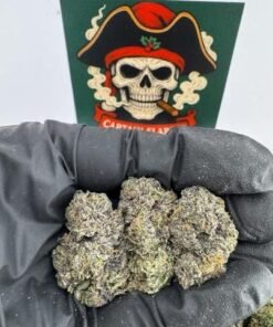 Purple Frost