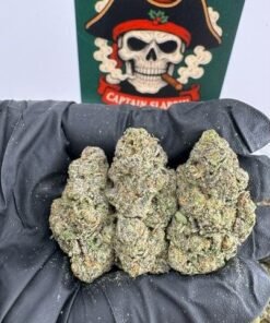 Rocket Fuel
