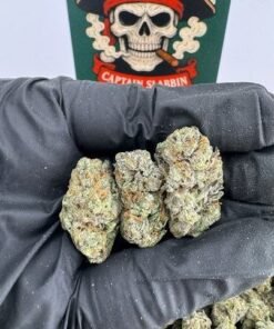 Strawberries & Cream