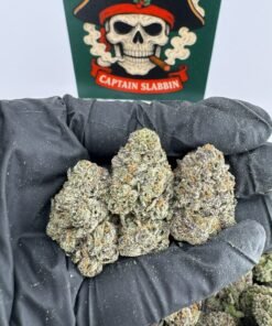 Do-Si-Pie premium cannabis flower featuring frosty trichomes, dense buds, and a powerful 10/10 aroma from a smoke shop.