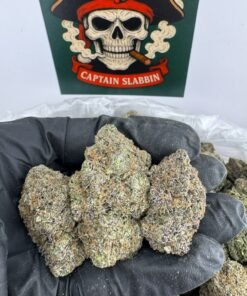 Kool Whip cannabis flower buds