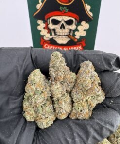Magic Melon premium cannabis flower featuring dense frosty buds with a sweet melon aroma and rich terpene profile from uk.